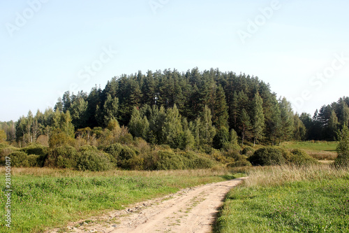 Meadow, country dirt road and forest