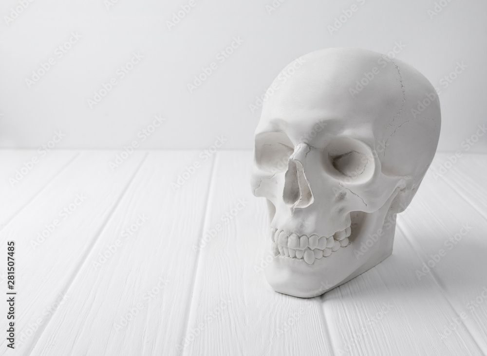 Gypsum human skull at white wooden table. Gypsum human skull at white wooden table.