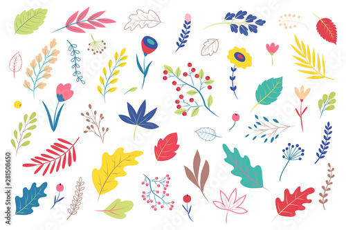 Autumn leaves, flowers, berries, bushes. Set of plants. Herbs for vector flat design