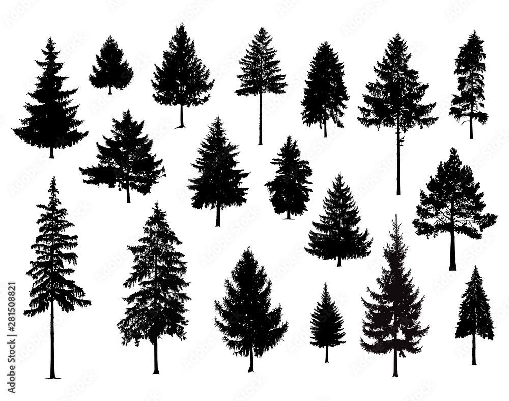 Set. Silhouettes of pine trees. Hand made. - obrazy, fototapety, plakaty 