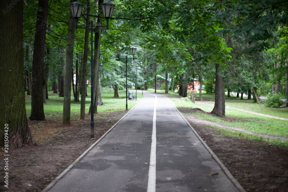The road in the city park. Bike path for cyclists. Simple day in the city. Empty street.