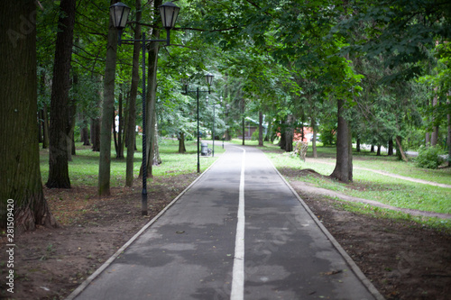 Fototapeta Naklejka Na Ścianę i Meble -  The road in the city park. Bike path for cyclists. Simple day in the city. Empty street.