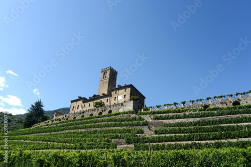 View of the castle of Sarre and its vineyard in Aosta Valley - Italy
