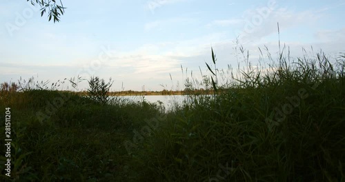 city park with lake