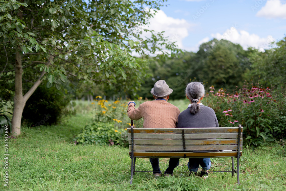 Rear view of senior couple sitting on bench in garden Rear view of senior couple sitting on bench in garden