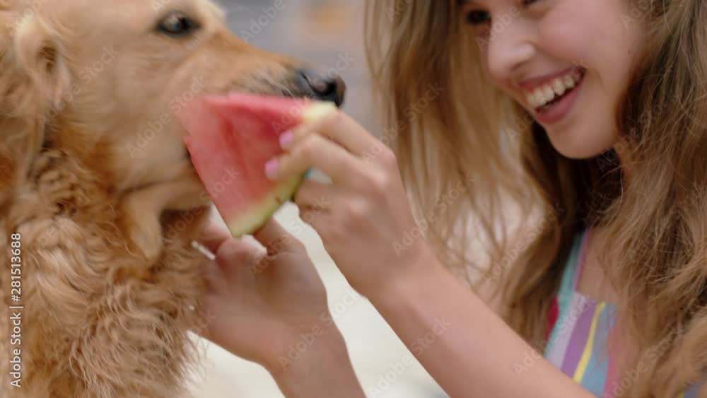 beautiful woman with golden retriever dog eating watermelon teenage girl having fun feeding fresh fruit to her animal companion enjoying summer day by swimming pool 4k beautiful woman with golden retriever dog eating watermelon teenage girl having fun feeding fresh fruit to her animal companion enjoying summer day by swimming pool 4k
