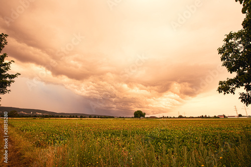 Fototapeta Naklejka Na Ścianę i Meble -  Dark Strong Thunder Clouds Panorama View with field