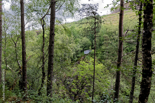 Corrieshalloch Gorge - Braemore, Wester Ross, Highlands, Scotland, UK photo