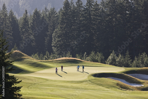 Senior couples playing golf on golf course photo