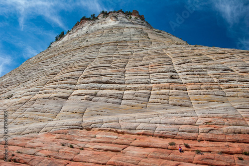 Young girl climbing on Checkerboard Mesa on the Zion Plateau  Utah on a summer morning under a beautiful cloudscape.