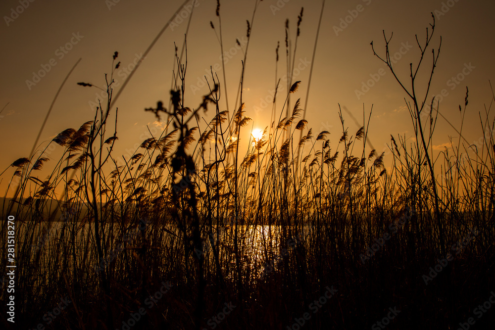 Sunset by the lake Sunset by the lake