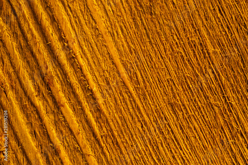 Wooden texture. rough wood macro background