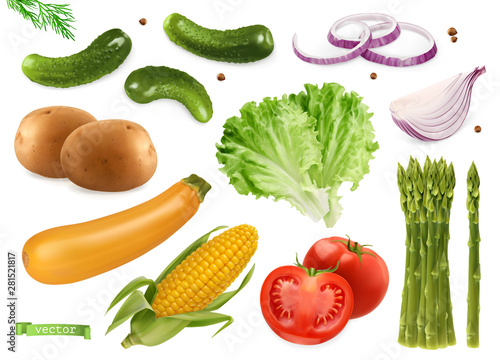 Cucumbers, coriander seeds, onions, potatoes, lettuce, zucchini, corn, tomato, asparagus. Vegetables 3d realistic vector set