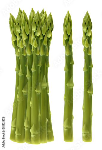 Garden asparagus. Sparrow grass, 3d realistic vector