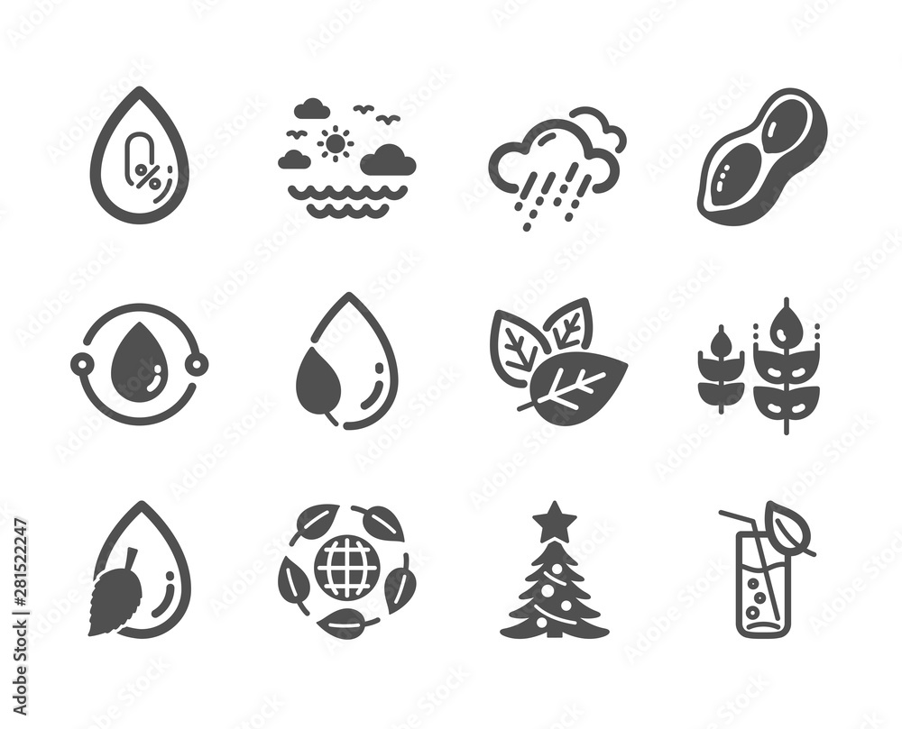 Set of Nature icons, such as Cold-pressed oil, Water glass, No alcohol, Travel sea, Organic tested, Leaf dew, Eco organic, Christmas tree, Water drop, Gluten free, Rainy weather, Peanut. Vector Set of Nature icons, such as Cold-pressed oil, Water glass, No alcohol, Travel sea, Organic tested, Leaf dew, Eco organic, Christmas tree, Water drop, Gluten free, Rainy weather, Peanut. Vector