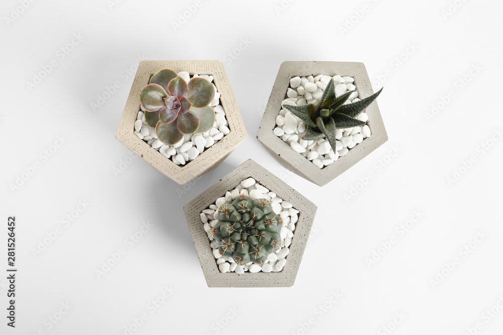 Fototapeta premium Beautiful succulent plants in stylish flowerpots on white background, top view. Home decor