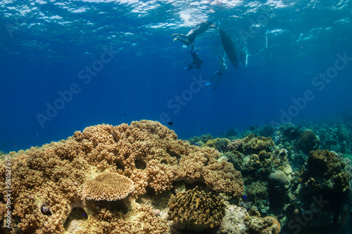 Traditional wooden boat above a shallow water tropical coral reef