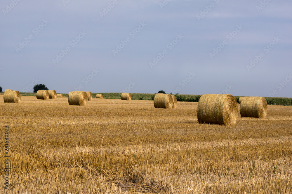 The Straw bales