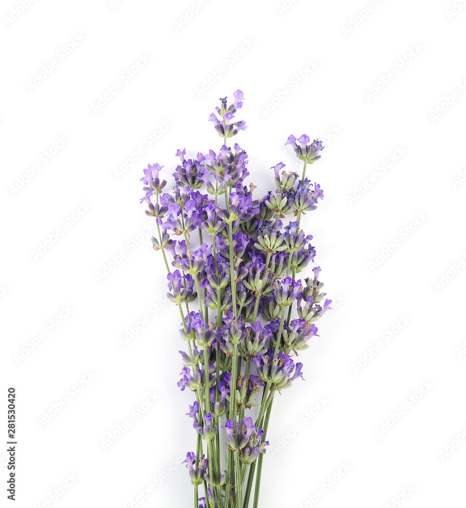 Obraz premium Beautiful tender lavender flowers on white background, top view