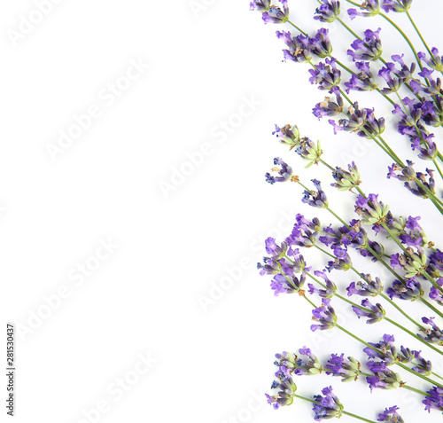 Beautiful tender lavender flowers on white background  top view