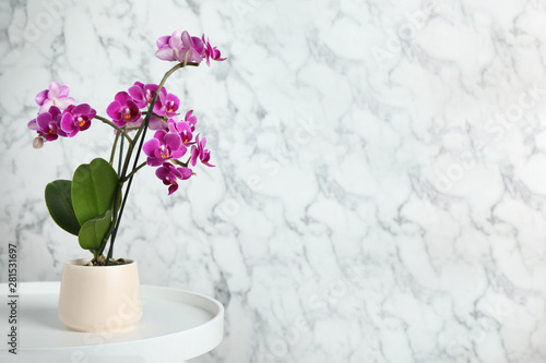 Beautiful tropical orchid flower on white table against grey and marble background. Space for text