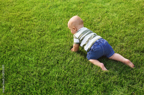 Adorable little baby crawling on green grass outdoors