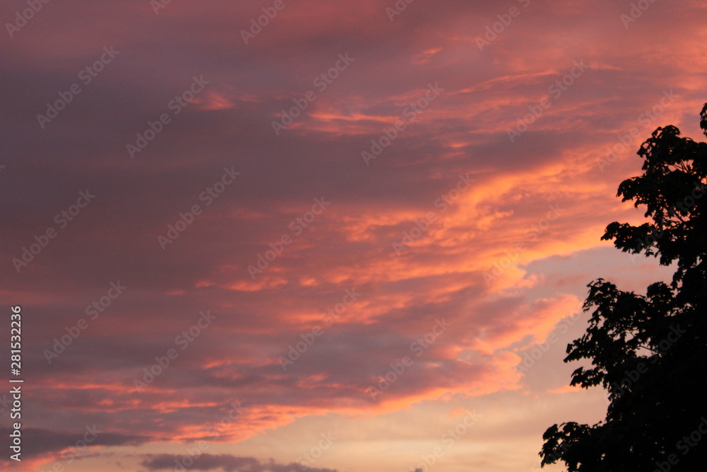 Fototapeta premium warm sunset