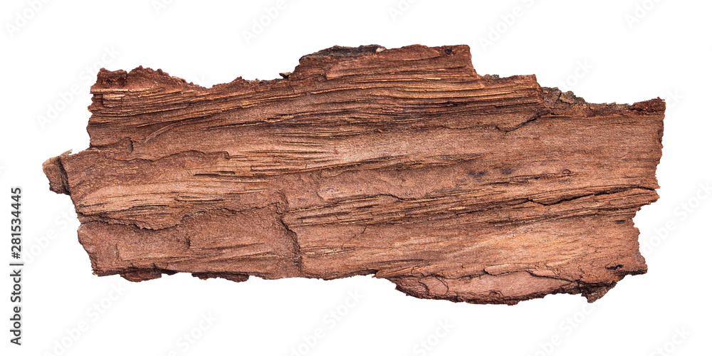 Large piece of bark inside isolated white background - obrazy, fototapety, plakaty 