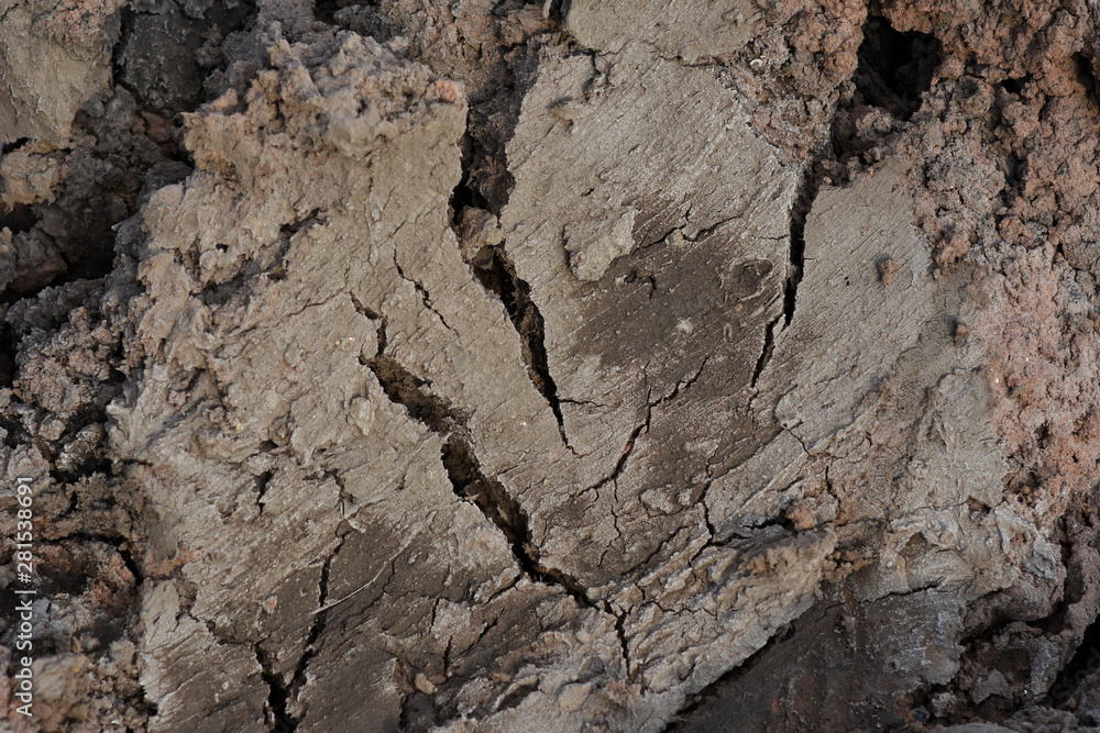 some crack on drying soil surface some crack on drying soil surface