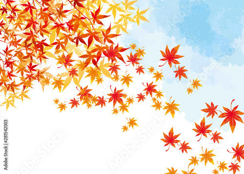 紅葉背景