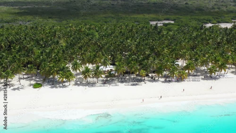 Aerial view from drone on tropical shore with coconut palm trees and turquoise caribbean sea. Travel destinations. Summer vacations Aerial view from drone on tropical shore with coconut palm trees and turquoise caribbean sea. Travel destinations. Summer vacations