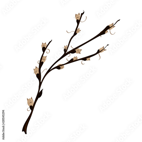 Pussy Willow Branch with cat faces