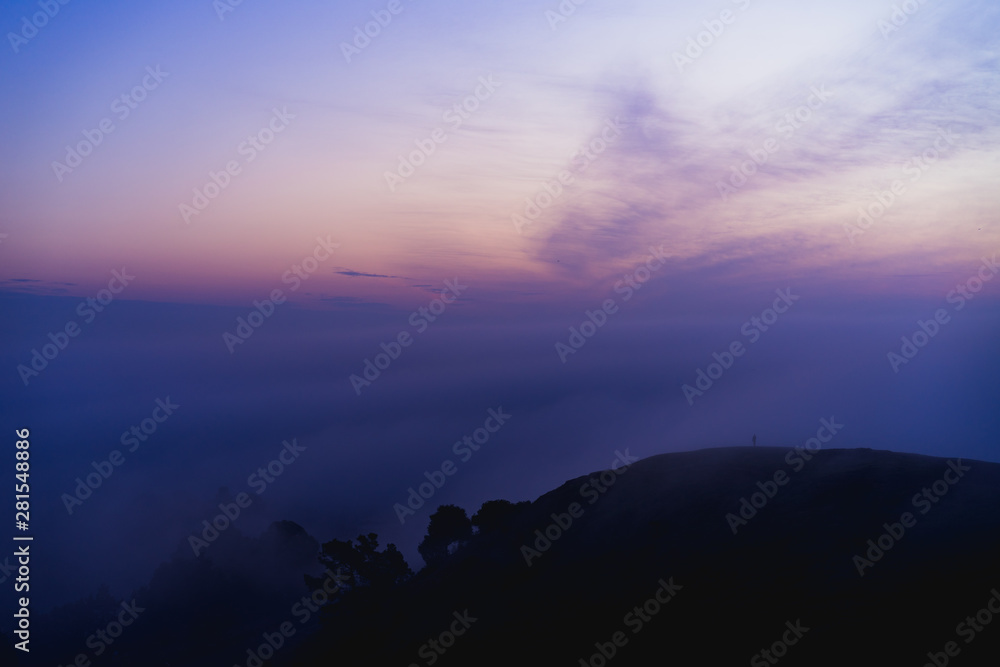 Purple must and fog during sunrise
