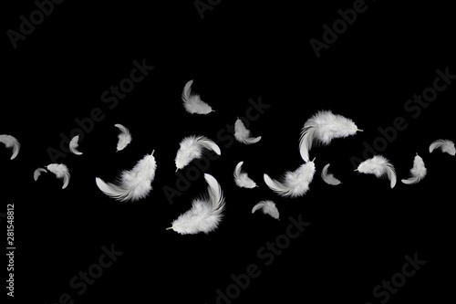 abstract solf white feathers floating in the dark