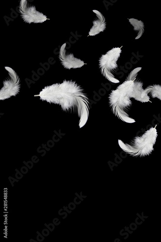 solf white feathers falling down in the dark