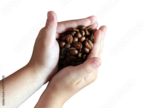 Roasted coffee beans in hands isolated on white background.