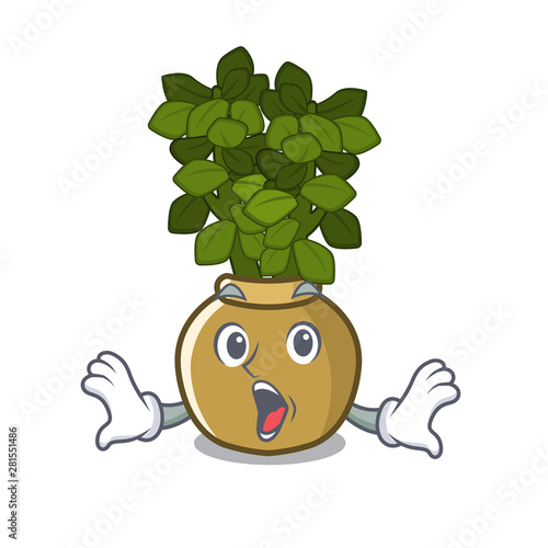 Surprised jade plant in the character shape