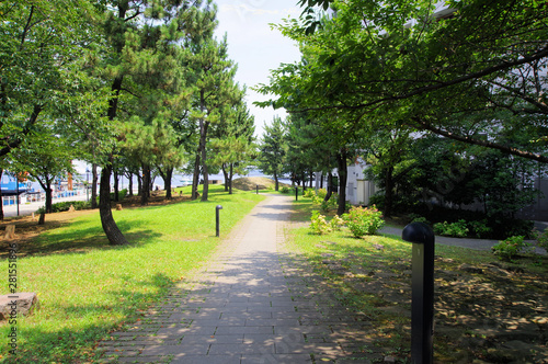 横浜ベイエリアの緑地