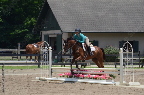 jumping 2ft hurdles on brown horse photo