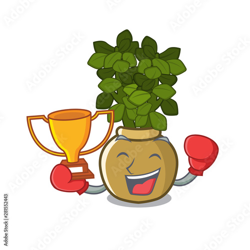 Boxing winner jade plant grows in cartoon stem
