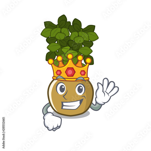 King jade plant grows in cartoon stem