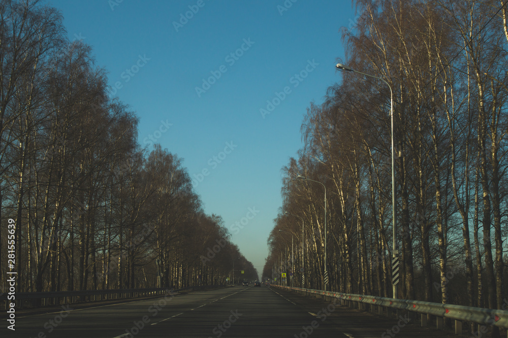 Forest road. way through the forest. country road