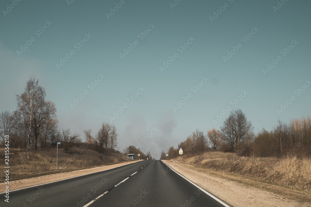 Forest road. way through the forest. country road Forest road. way through the forest. country road