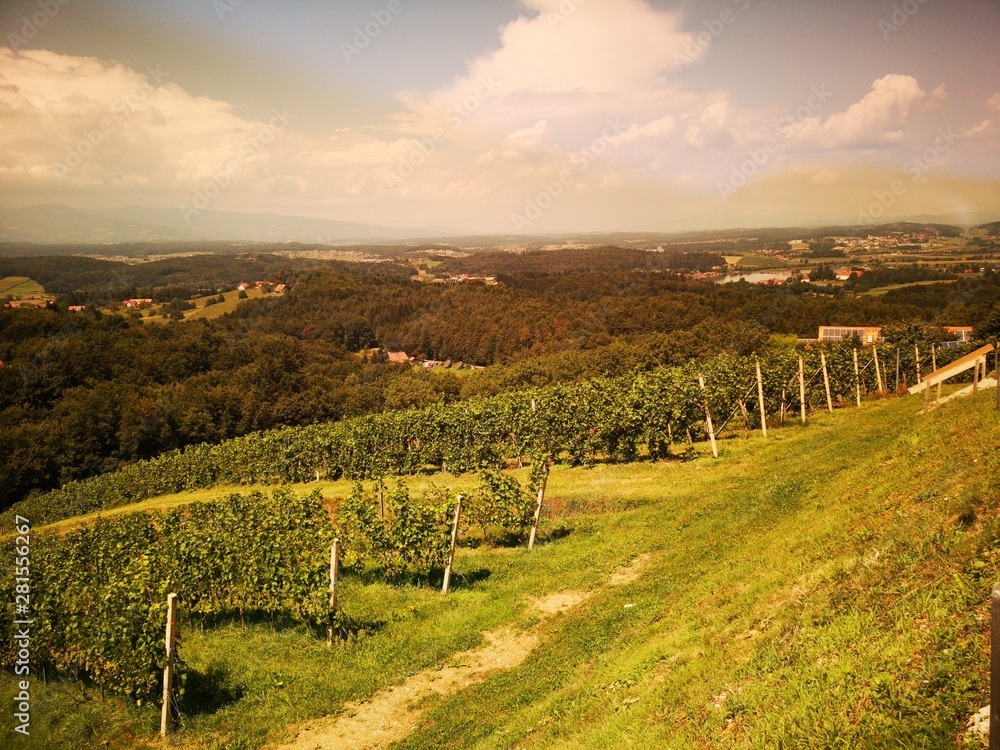 Obraz premium Kitzeck im Sausal, Steiermark, Weinstraße