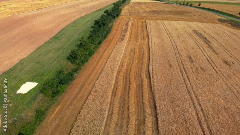 Aerial shot. View of the mown field of grain. Slow image movement. Mowed straw lies in the village. Aerial shot. View of the mown field of grain. Slow image movement. Mowed straw lies in the village.