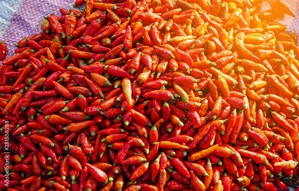 Fototapeta premium Thai chillies.Organic ingredient thai food.
