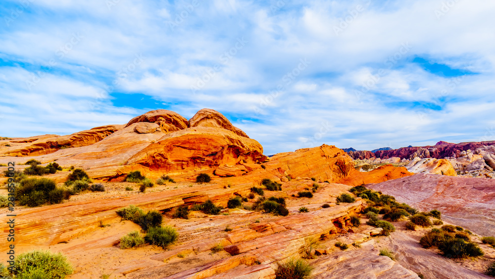 The colorful red, yellow and white sandstone rock formations along the White Dome Trail in the Valley of Fire State Park in Nevada, USA