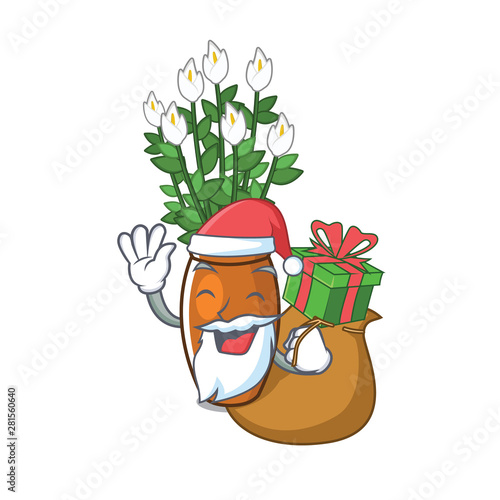 Santa with gift peace lily isolated with the mascot
