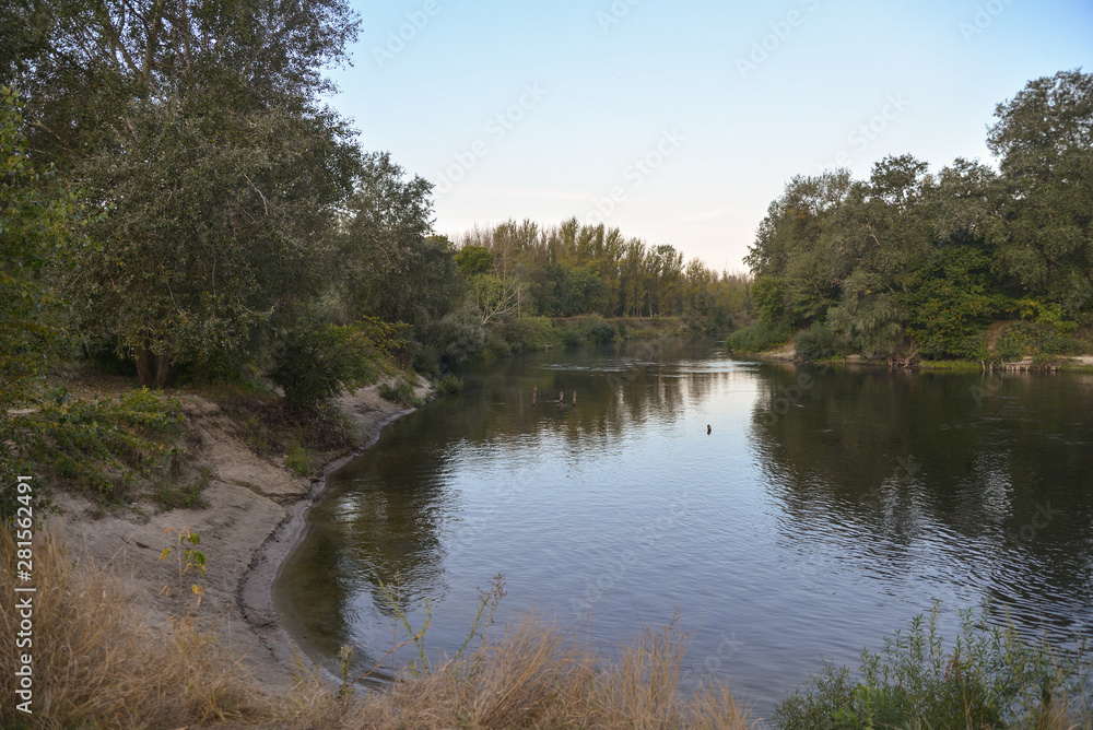 lake in forest