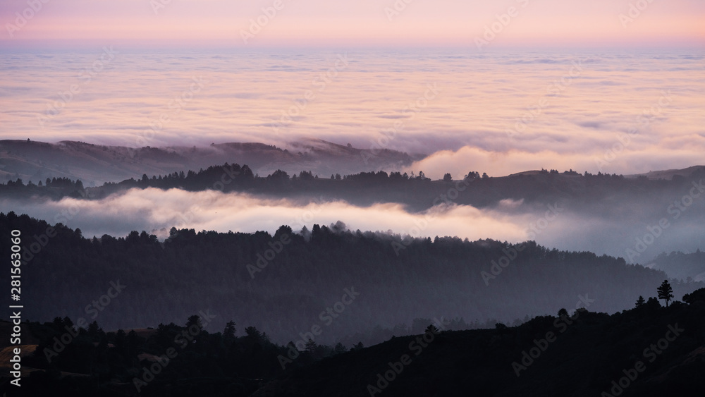 Sunset view of layered hills and valleys covered by a sea of clouds in Santa Cruz mountains ; San Francisco bay area, California